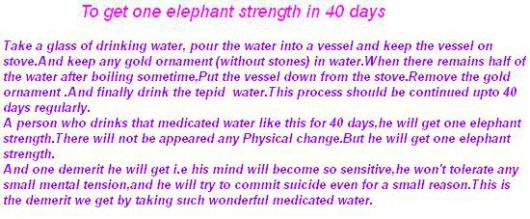 one-elephant-strength